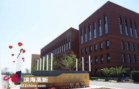 政策利好振翅高飛，天津七成軟企匯聚濱海新區領航軟件外包