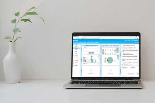 免費裝修管理軟件靠譜嗎？——兼談軟件外包服務的優勢與選擇