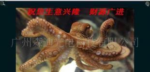 供應供森迪觸摸廣告機 重塑樓宇賣場電梯場景的全新媒體終端